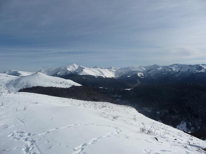 PTEAM_PicDoulent_2009 020.jpg